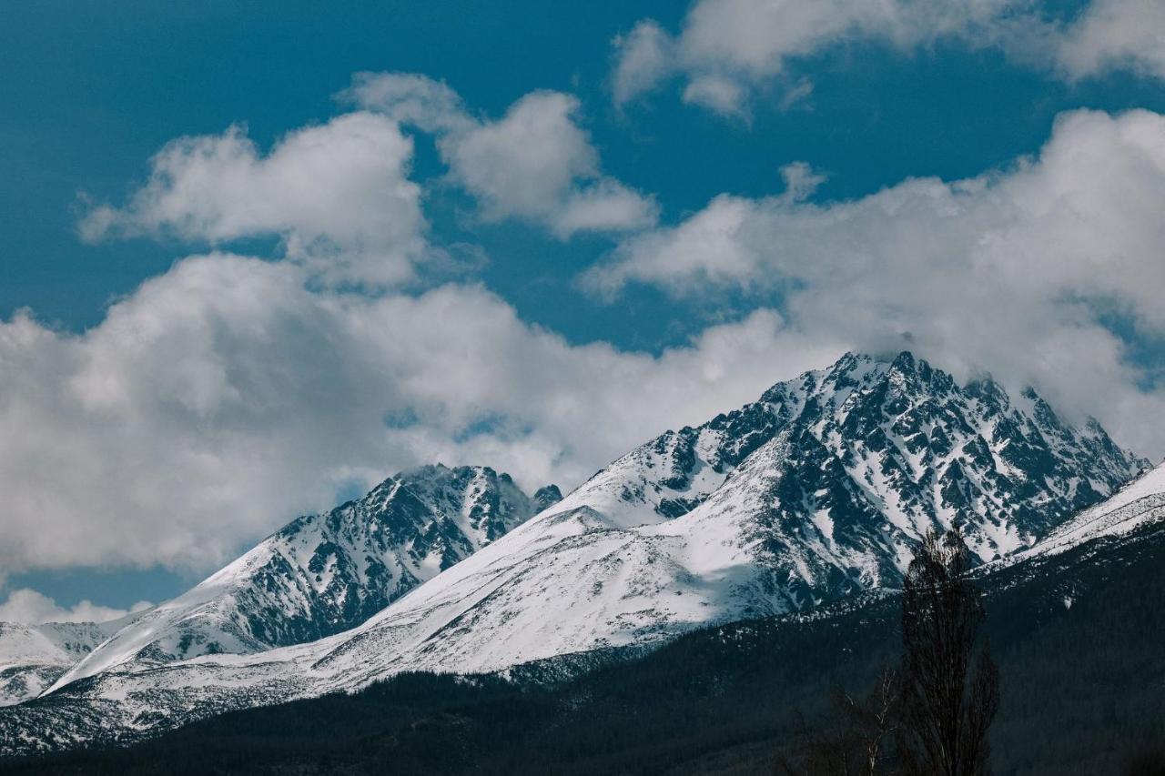 Villa Greystone Vysoké Tatry 외부 사진